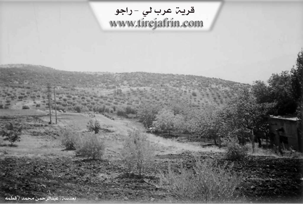 Photo of Ereblî